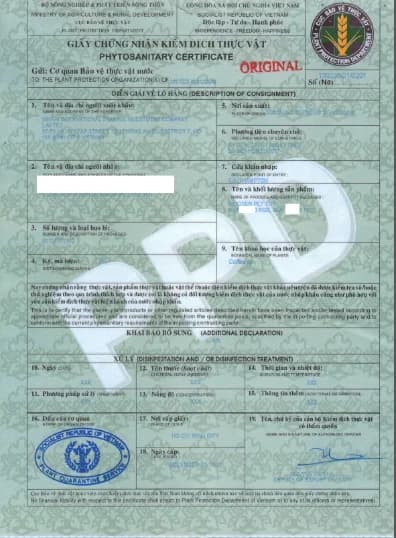 Phytosanitary certificate
