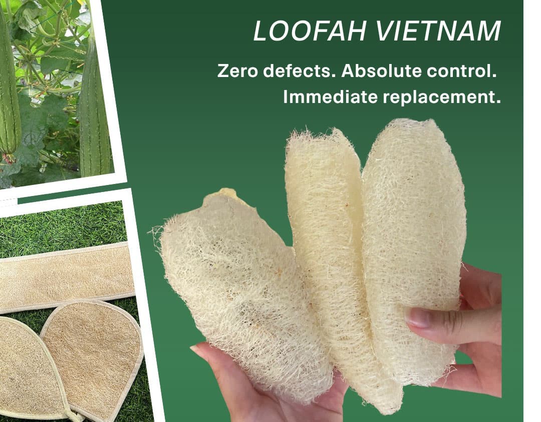 Why Do Loofahs Get Moldy? The Real Cause and the Fix