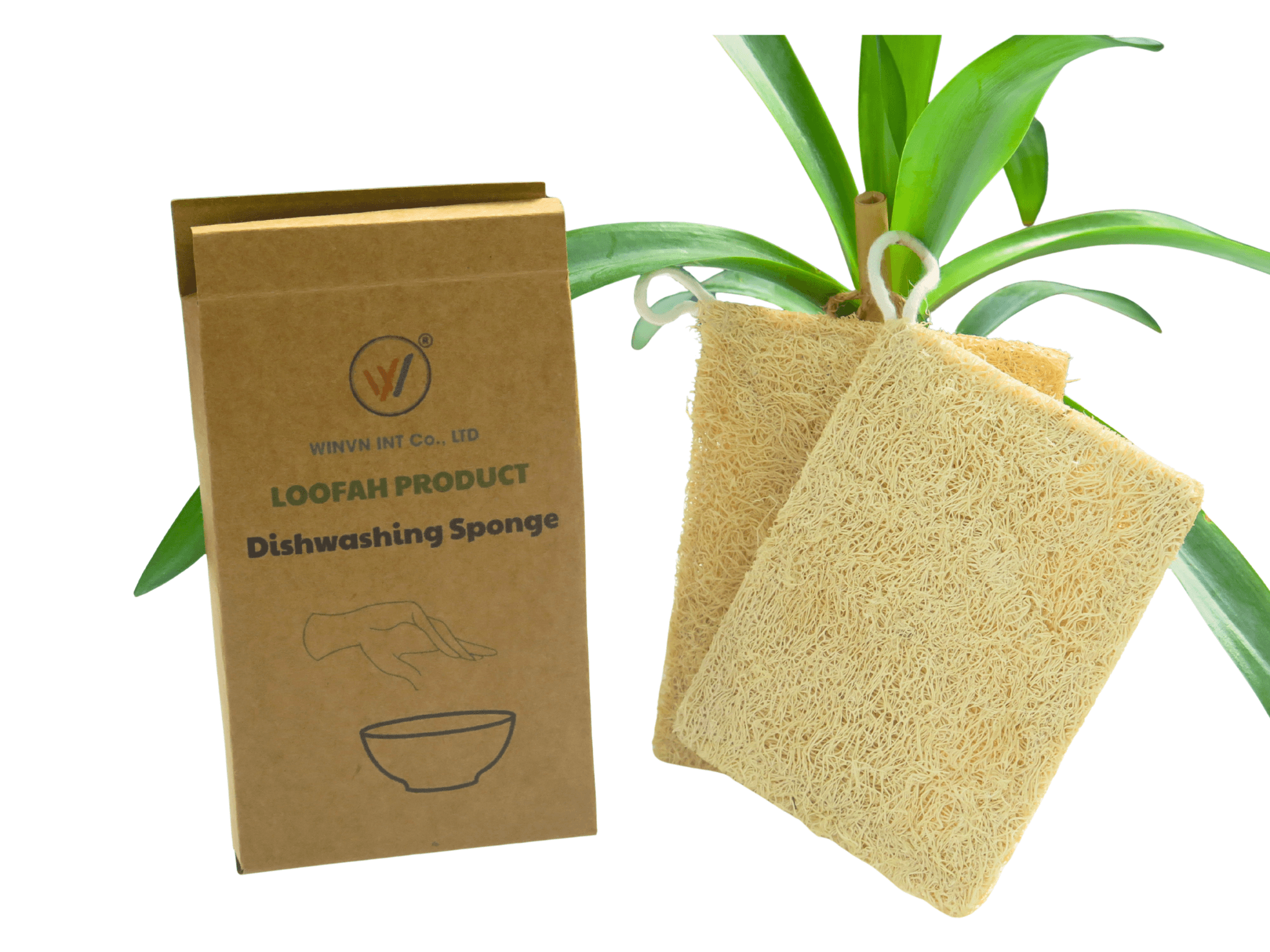 Is Loofah Biodegradable and Home-Compostable?